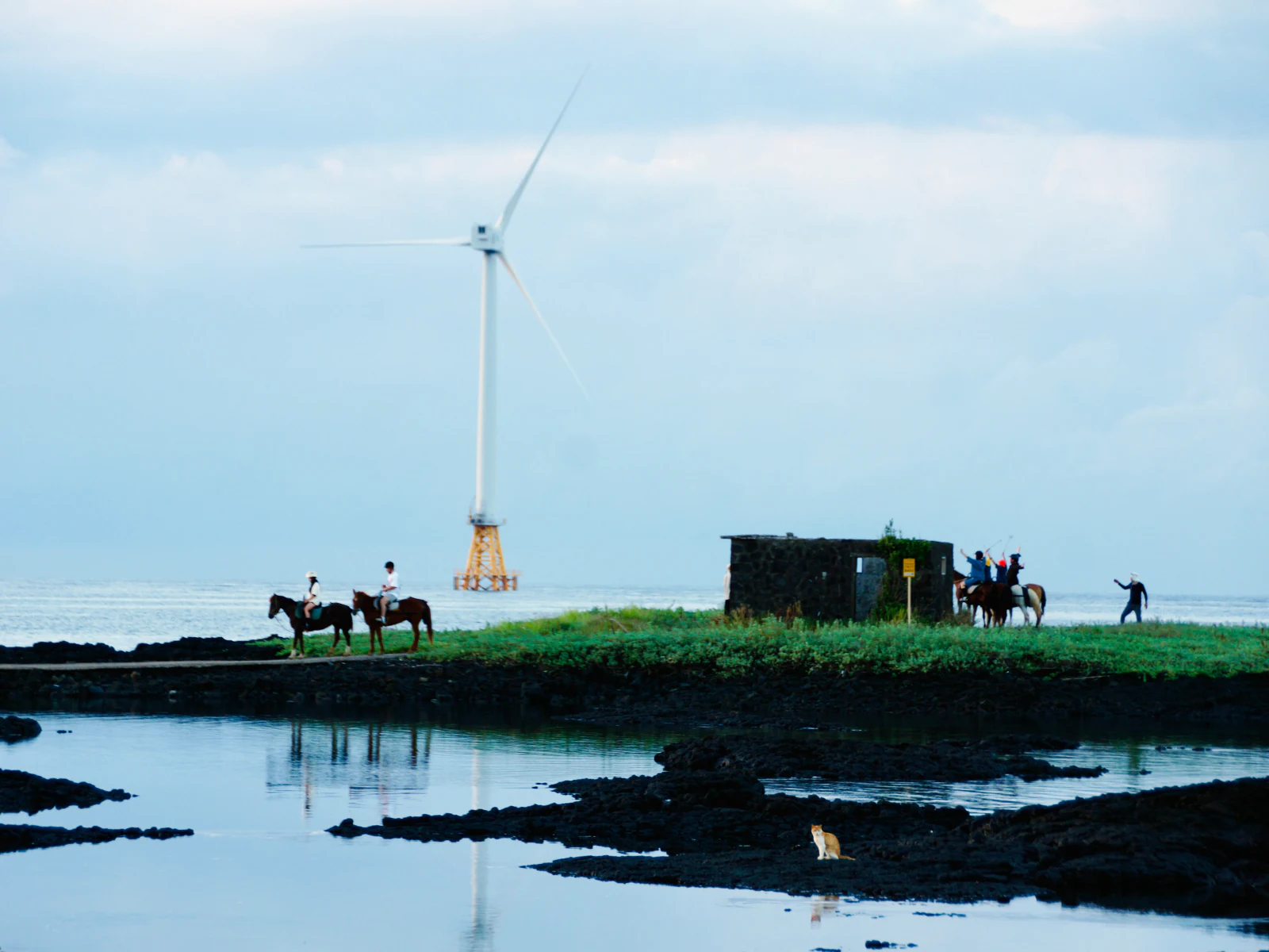 Gallery local Image 0