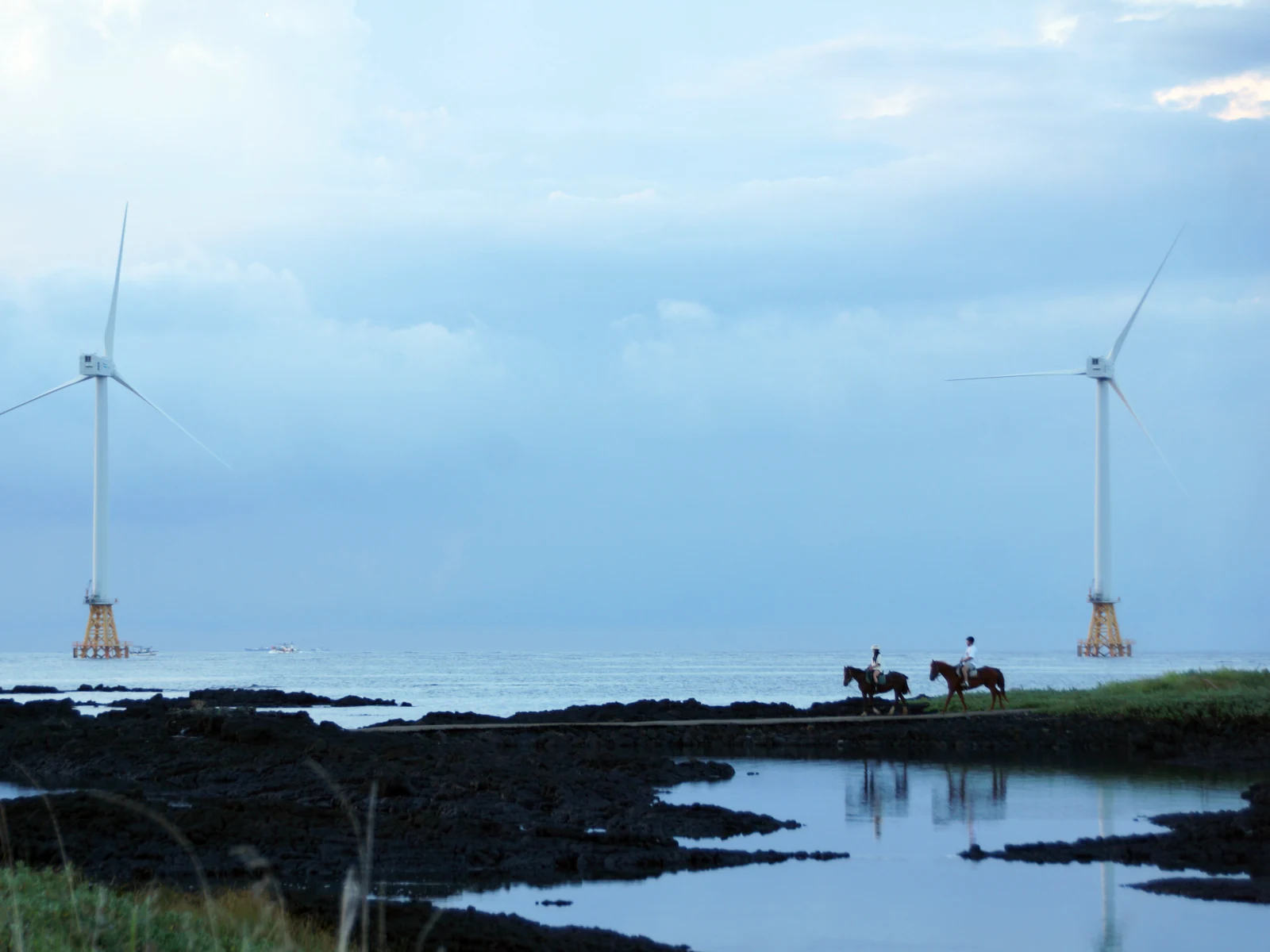 Gallery local Image 1