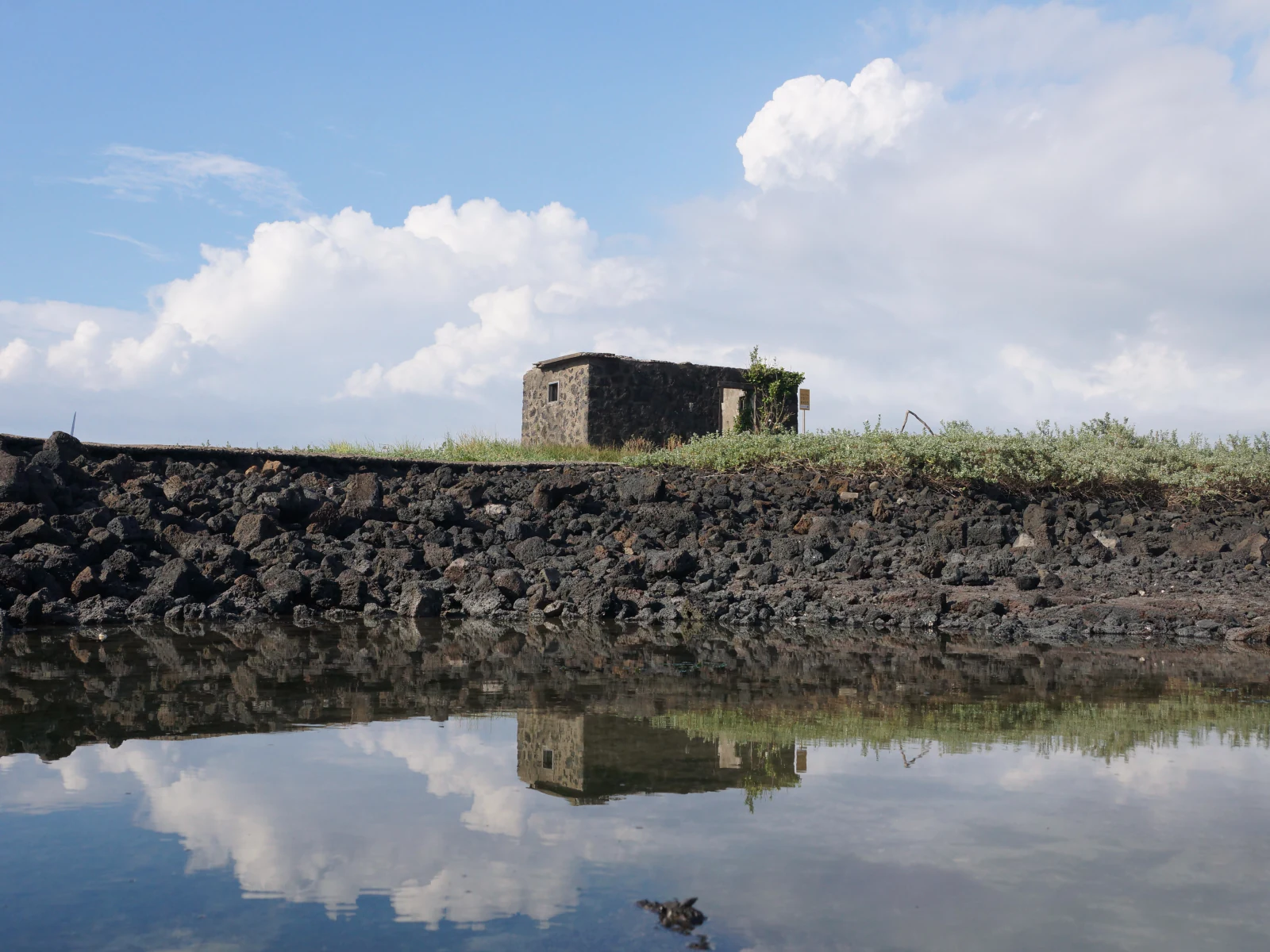 Gallery local Image 2